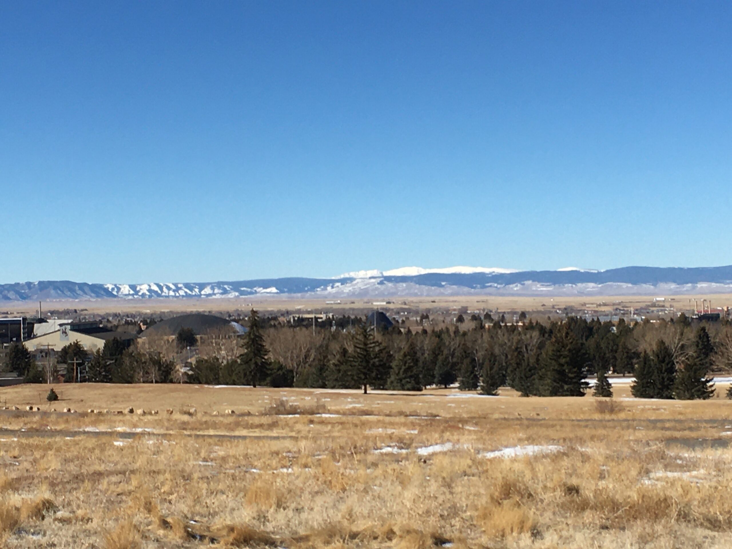 snowies from jacoby trail
